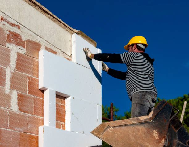 Best Insulation Inspection Services  in Portageville, MO