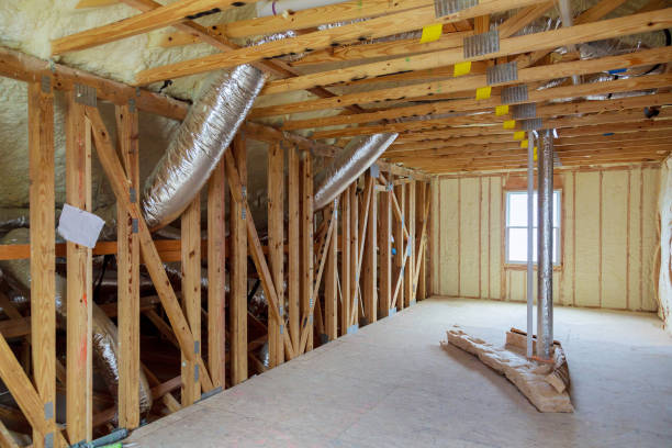 Best Insulation Inspection Services  in Portageville, MO