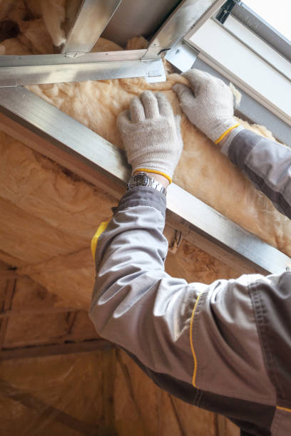 Insulation Replacement Services in Portageville, MO