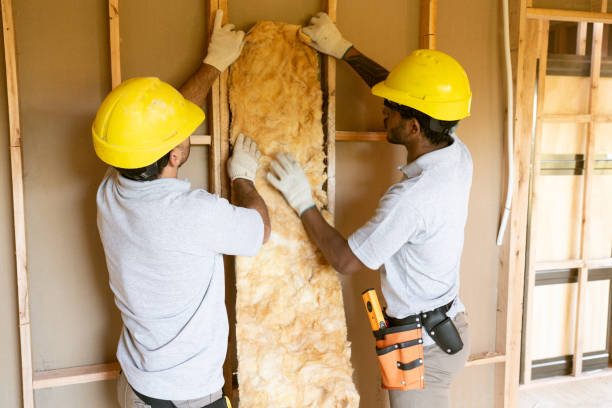 Best Blown-in Insulation  in Portageville, MO