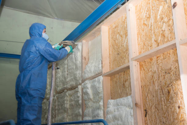 Best Spray Foam Insulation  in Portageville, MO