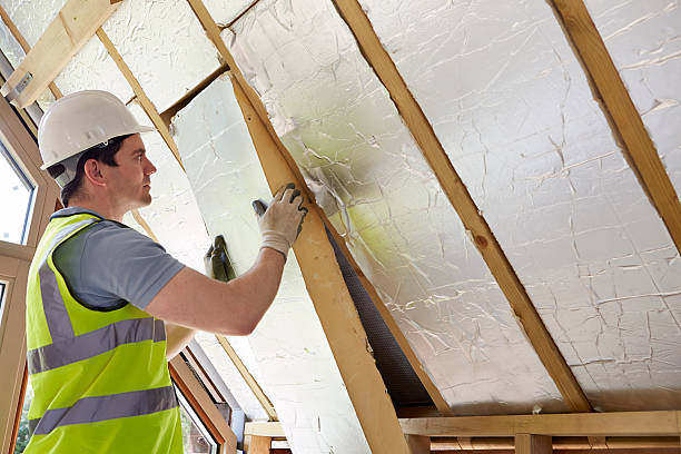 Best Insulation Removal  in Portageville, MO