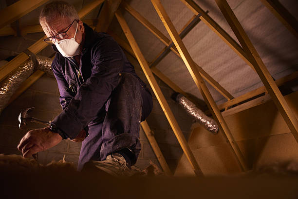 Best Insulation Contractor Near Me  in Portageville, MO